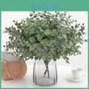 Plant Eucalyptus Globulus Foliage For Home Enhancement Prop Photography