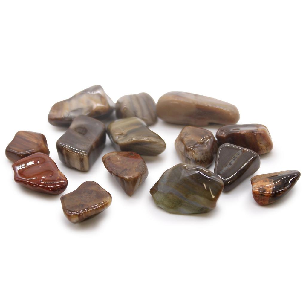 Petrified Wood Tumbled Stones, 24 Pieces