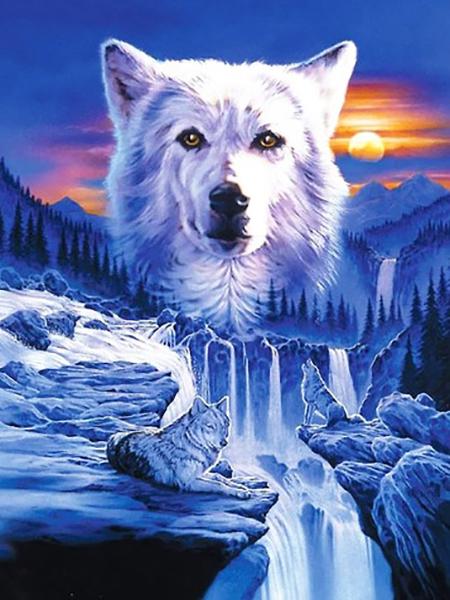 Peinture de diamant complète 5d à faire soi-même, broderie d'animaux, perceuses carrées et rondes, forêt, clair de lune, loup, mosaïque, décoration de meubles, cadeau de loisirs