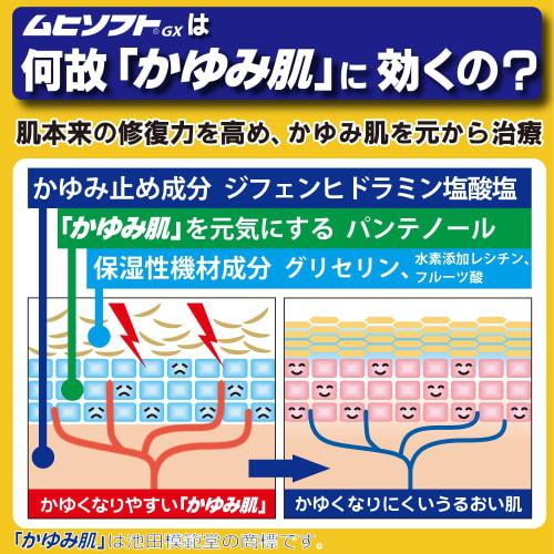 [Third-class OTC drug] Itchy skin treatment Muhisoft GX emulsion 120mL