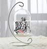 Stylish Iron Frame Glass Fish Tank & Hydroponic Vase for Desktop Decor
