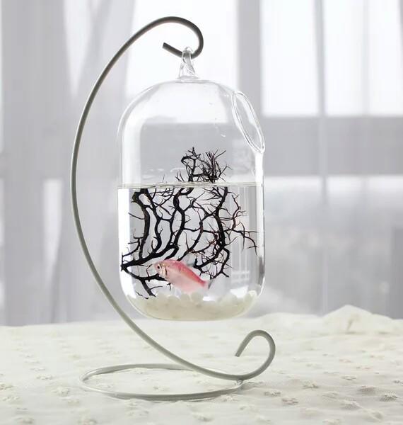 Stylish Iron Frame Glass Fish Tank & Hydroponic Vase for Desktop Decor