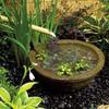 Bomba de Jardim Takasho Mermaid 1000 (PTM-1000) Preto, Iluminação Externa/Indireta, À Prova d'Água, Resina ABS, para Uso Interno