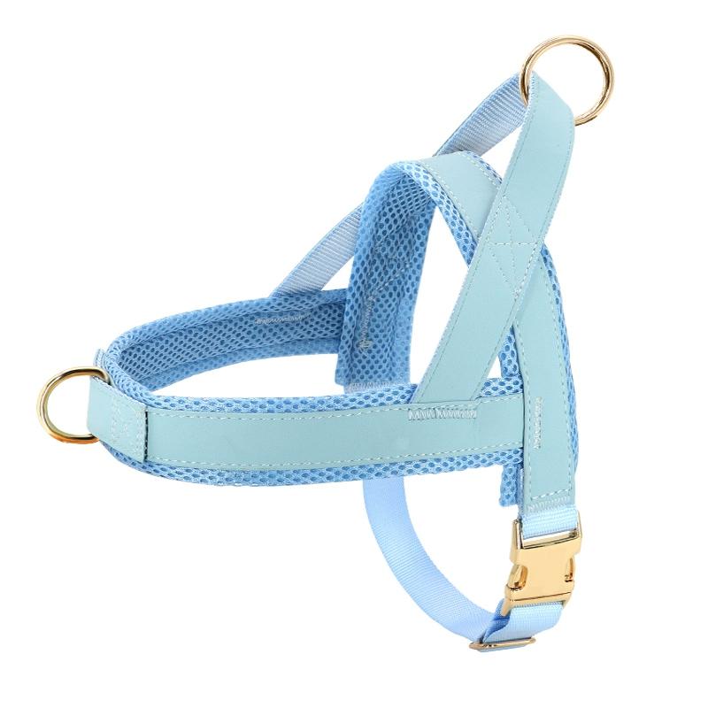 

Dog Collar Traction Rope Vest Top Chest Strap Golden Retriever Small Large Dog Fighting Labrador Dog Rope Neck Ring XS-Ultra-Small: Recommended 9-9 kg