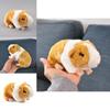 Lifelike Orange Guinea Pig Plush Toy For Children's Collection Gifts