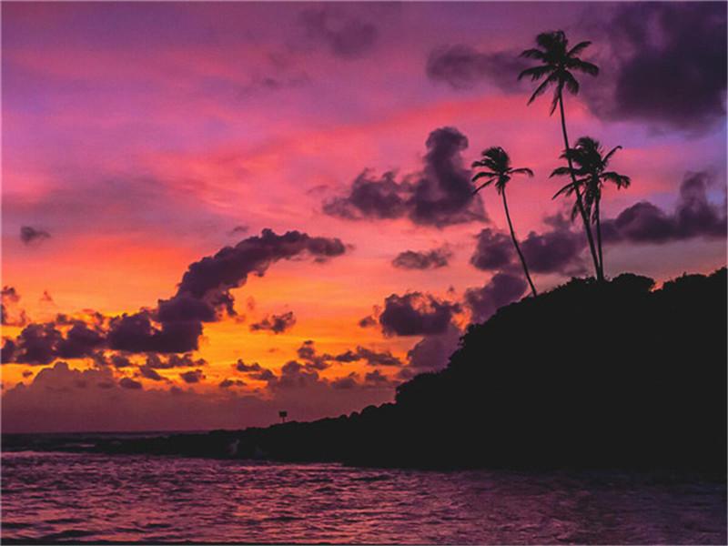 Diamond Painting New Sunset 5D DIY Diamond Embroidery Sale Seaside Landscape Tree Pictures Of Rhinestones Mosaic Wall Art