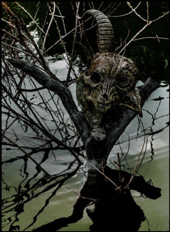 

the GazettE LIVE MALFORMED FINAL CODA LIVE AT YOKOHAMA ARENA Press Limited Edition TOUR13-14 [MAGNIFICENT BOX] 01.11 (First [DVD]