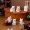 12pcs Detail Cats Model Figure Child Safe Decorative Figurine For Miniature Scene Display And Collector Doll House Props