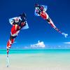 Large Chinese Style 3-Meter Koi Carp Kite with Long Tail - Easy to Fly in Light Breeze
