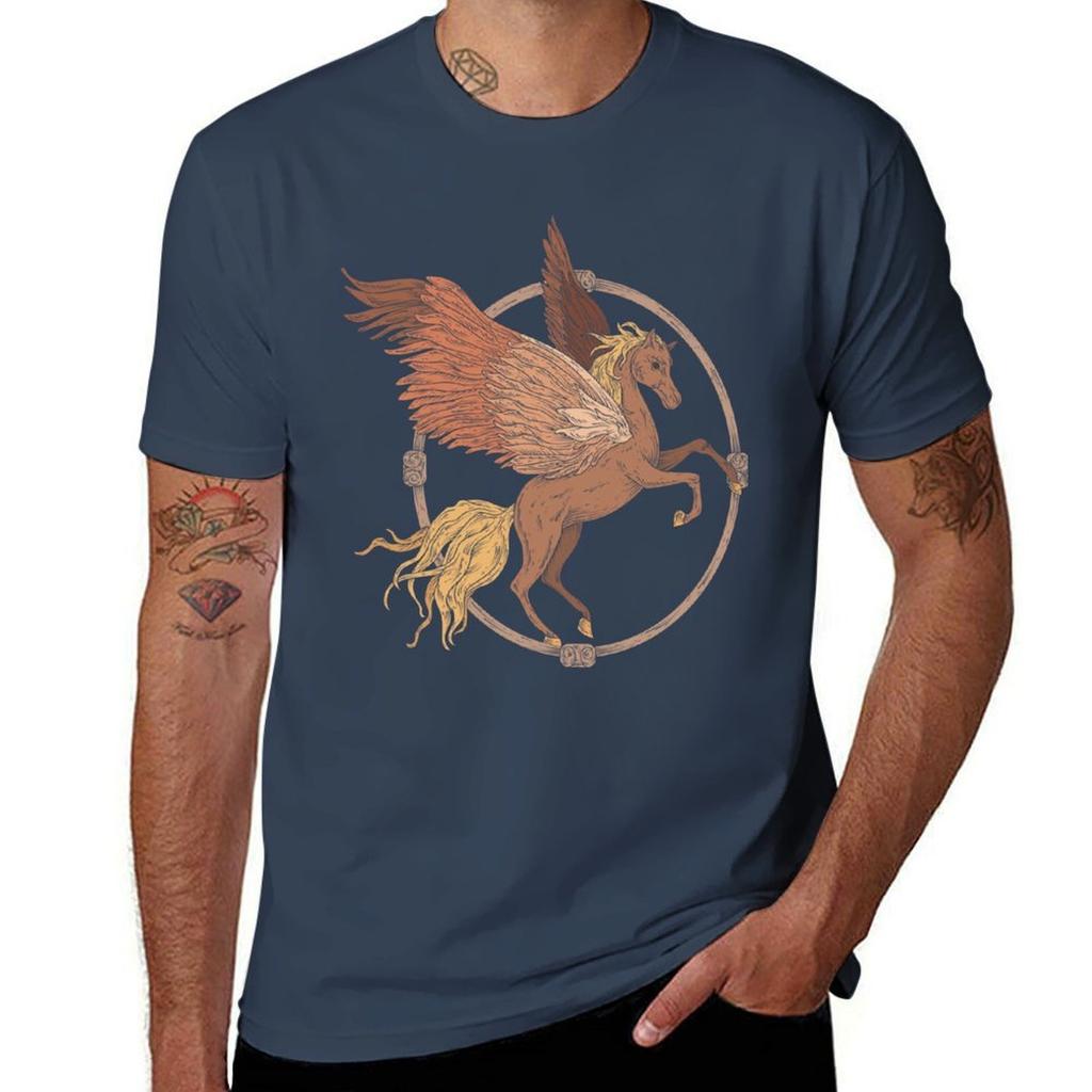 Flying Pegaasus In A Wooden Frame Tshirt Work Style Casual Tshirt