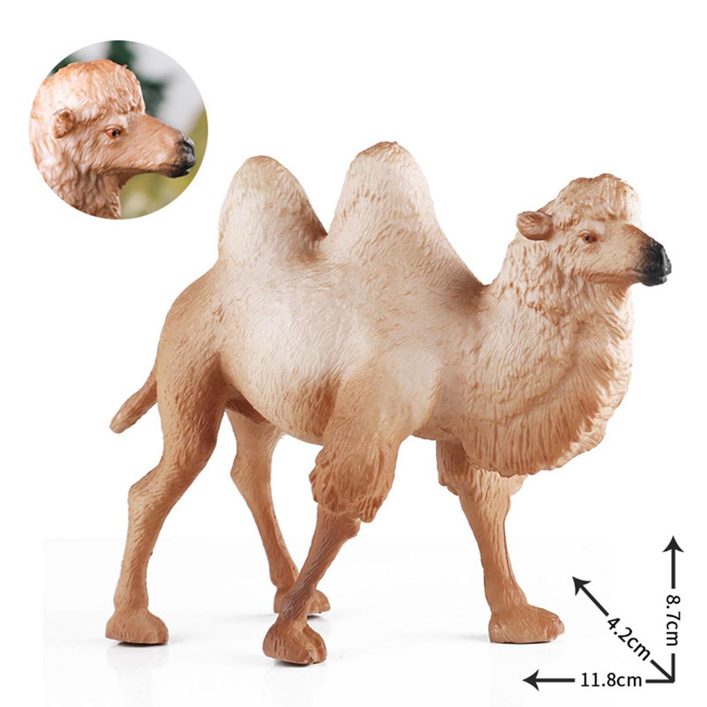 Lebensechtes baktrisches Kamel Modell Figur für Heimdekoration Modell Kamele Tier Spielzeug Auto Tischdekorationen Kinderspielzeug