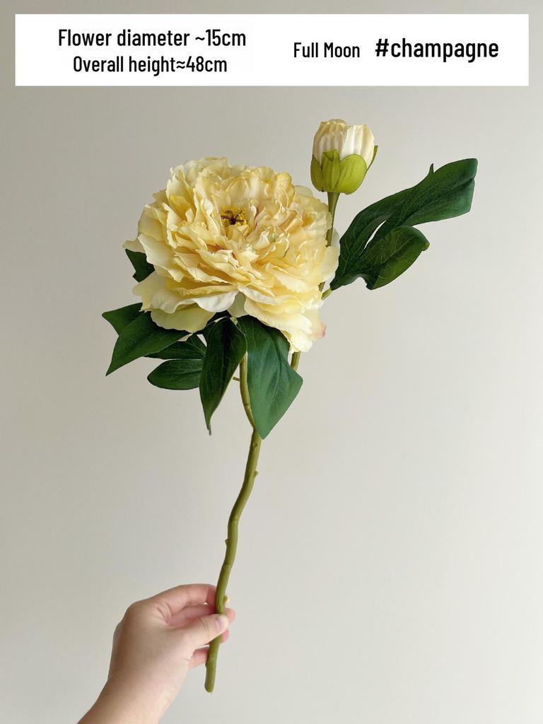 High-Quality Burnt Edge Silk Peony - Artificial Flower for Home Decor & Photography