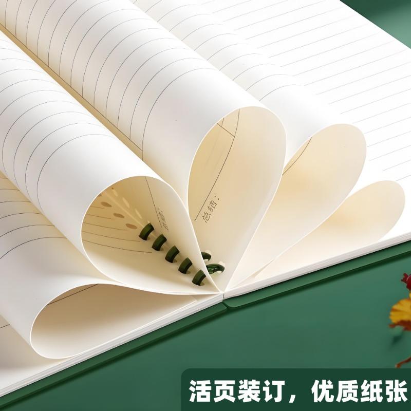 Cornell B5 Loose Leaf Notebook Horizontal Line For School Students