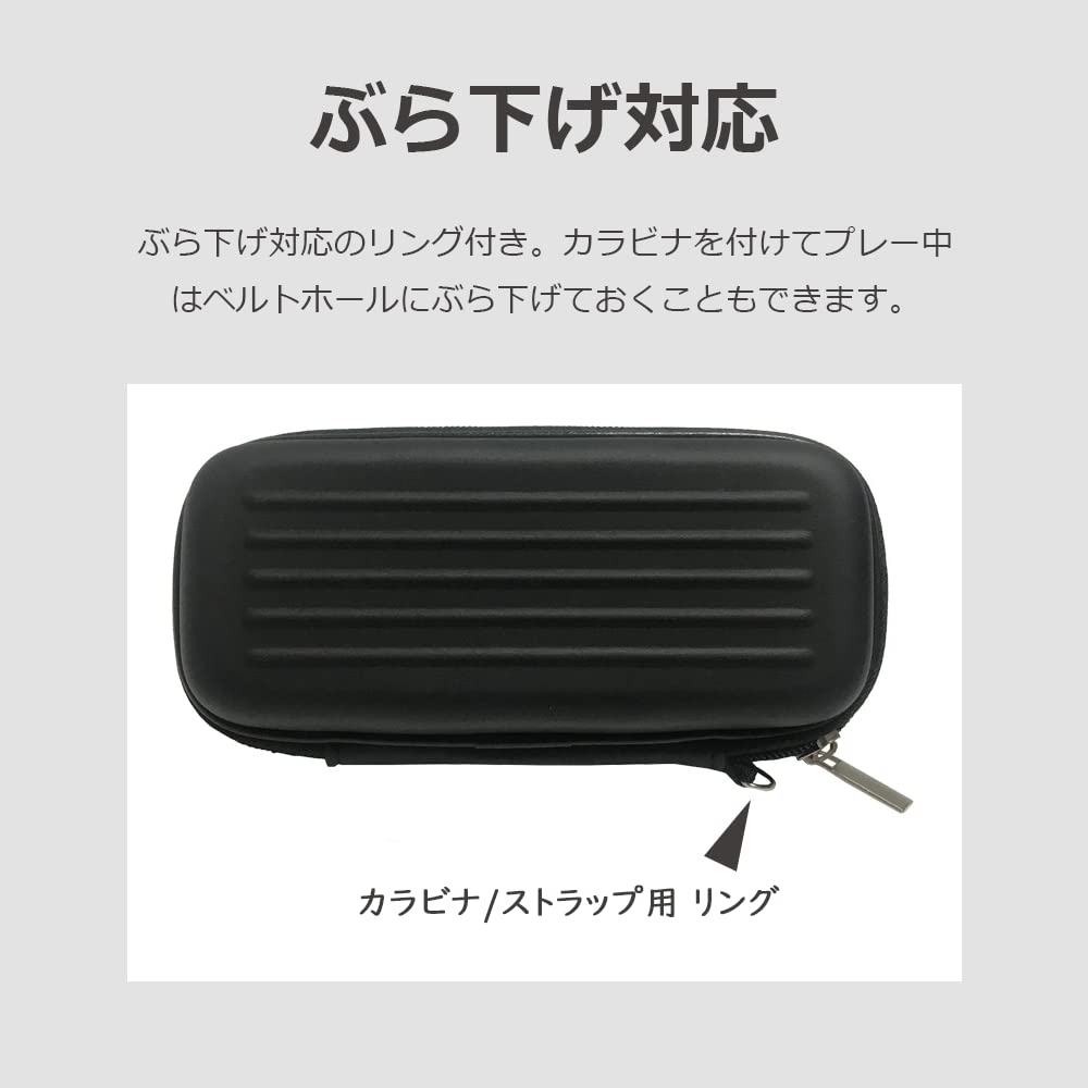 Dart-Etui, kompakte Teileaufbewahrung mit Tasche, stoßfestes EVA, lifactlab. (Schwarz)