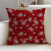 1P-Paisley Pattern Cushion Cover Natural Linen Pillowcase Set, All-In-One Decor For Sofa, Bedroom & Chair