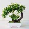 Mini Potted Grass Bonsai: Cherry Snowball Home Decor Ornament