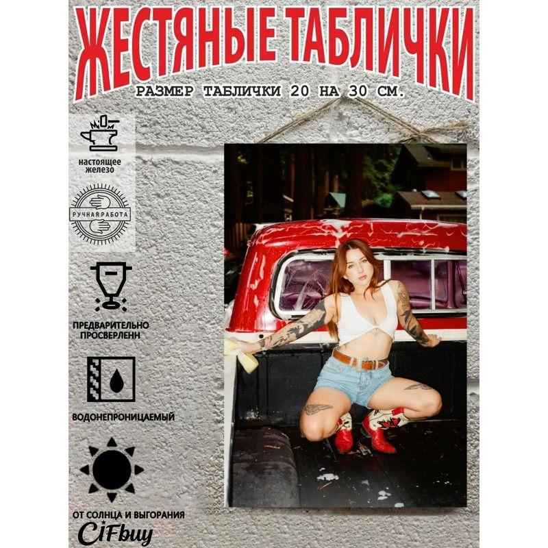 Retro Vintage Metal Sign Pin Up Girl Car Decor Wall Art