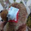 [USED] GUND Slumber Bear Haagen-Dazs Teddy Bear