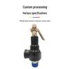 Picheng A28Y-16C Spring Full-Lift Threaded Safety Valve