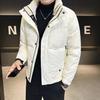 Men's Short Duck Down Jacket for Winter - Stand-Up Collar, Thick and Warm