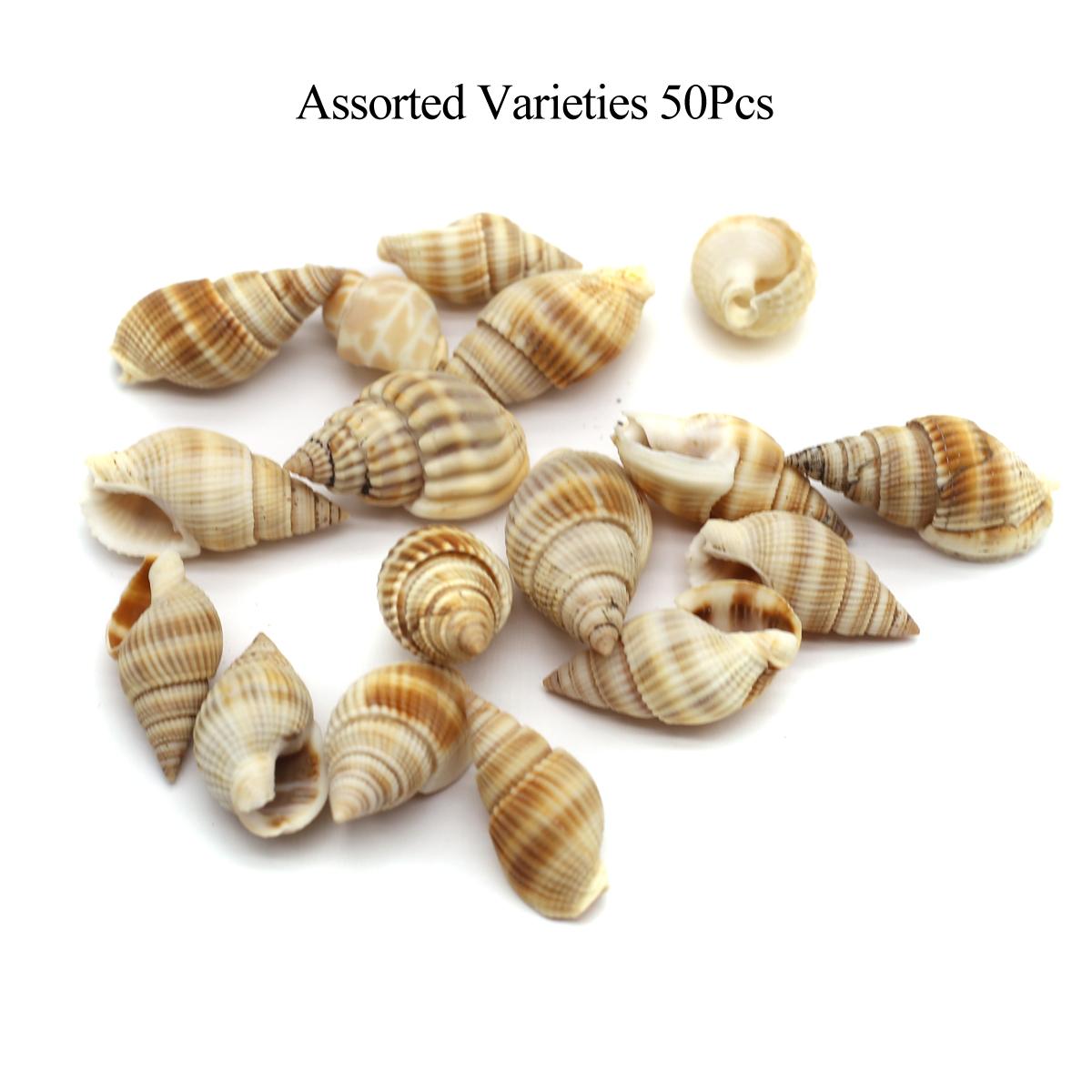 

30/50 шт., летний морской стиль, натуральная ракушка, украшение для аквариума, растений в горшках и многого другого, праздничная коллекция домашнего декора 50Pcs/25×14mm