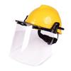 MSA Safety Helmet with Transparent Face Shield Kit
