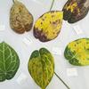 Artificial Plant Leaves For Wedding Decor With Greenery And Flower Arrangements For Home And Events