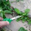 Stainless Steel Succulent Transplant Clip Multifunctional Plant Care Clip  Daily Gardening