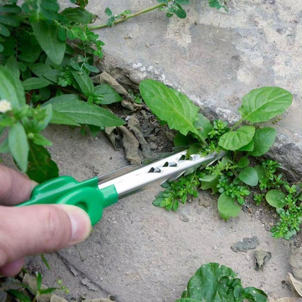 Stainless Steel Succulent Transplant Clip Multifunctional Plant Care Clip Daily Gardening