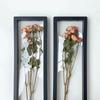 3D Transparent Dried Flower Frame Storage Box Plastic Picture Frame Stand  Bouquet
