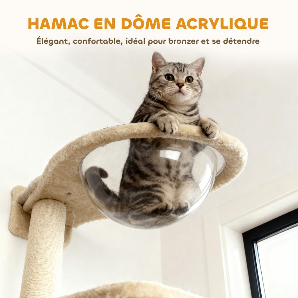 Wall shelves for cats, set of 6-piece wall furniture, acrylic bubble hammock, condo, hammock, ladder, beige
