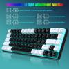 68-Key Wired Mechanical Gaming Keyboard - Hot-Swappable Blue Switches, Dual-Color Injection Keycaps, Ice Blue Backlight