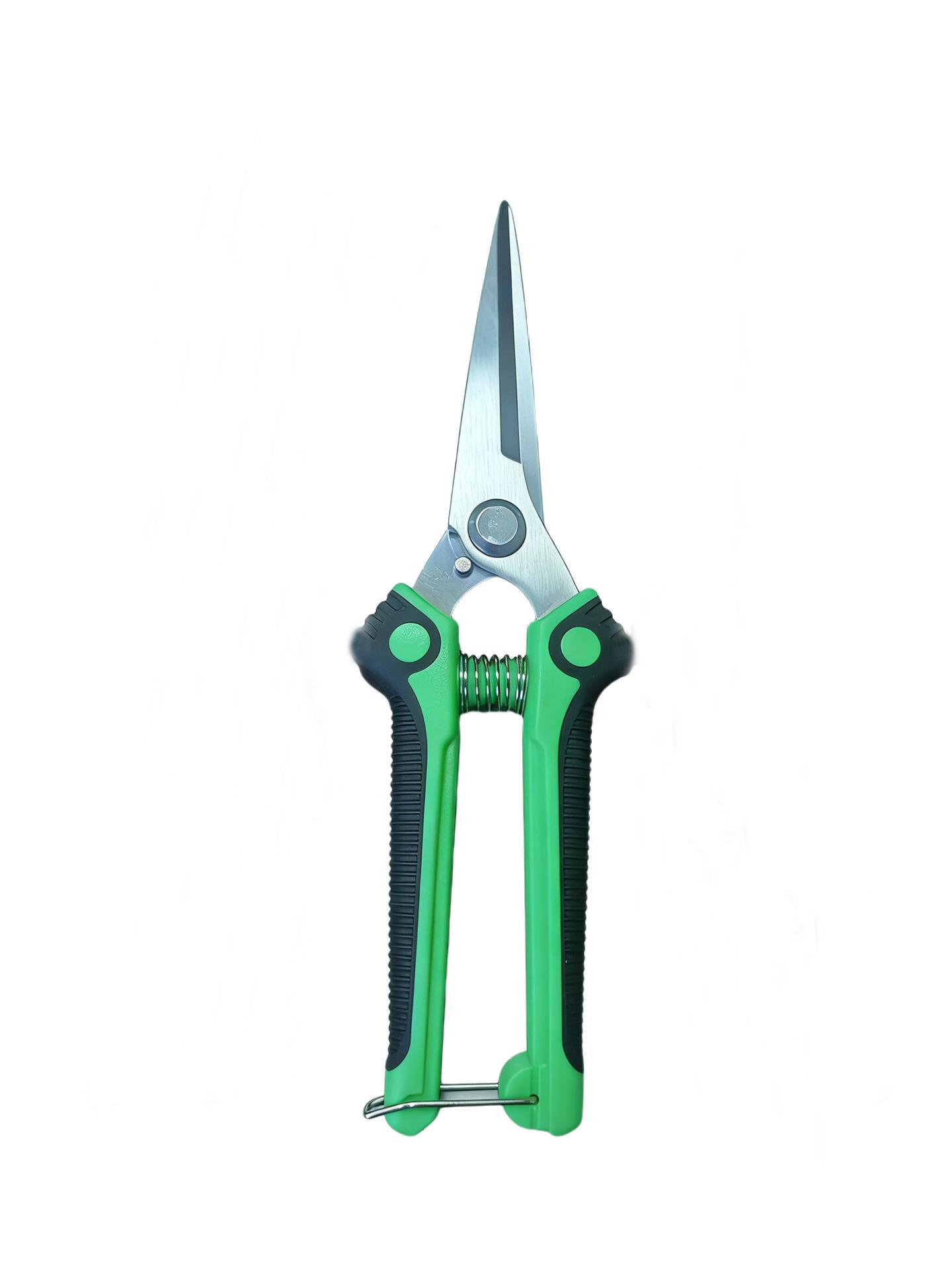 Stainless Steel Pruning Shears Set for Garden and Fruit Tree Branches