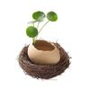 Eggshell Hydroponic Indoor Flower Pot Ceramic Water Culture Vase Art Deco Design for Home Decor Set of Plant Container
