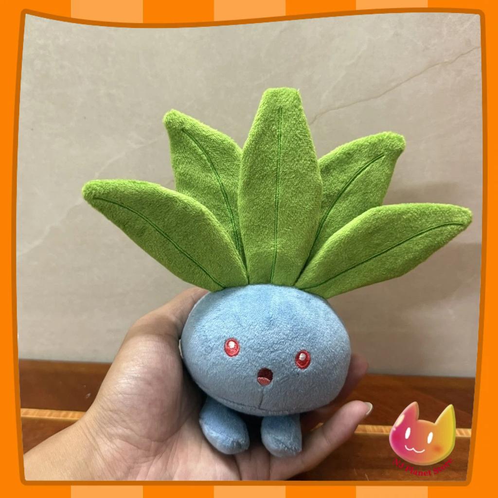 13Cm Walking Grass Sounding Plush Toy Doll Squeezing Toy Pet Stuffed Plush Starfish Body Printed Keychain Send Friends Gift Xams