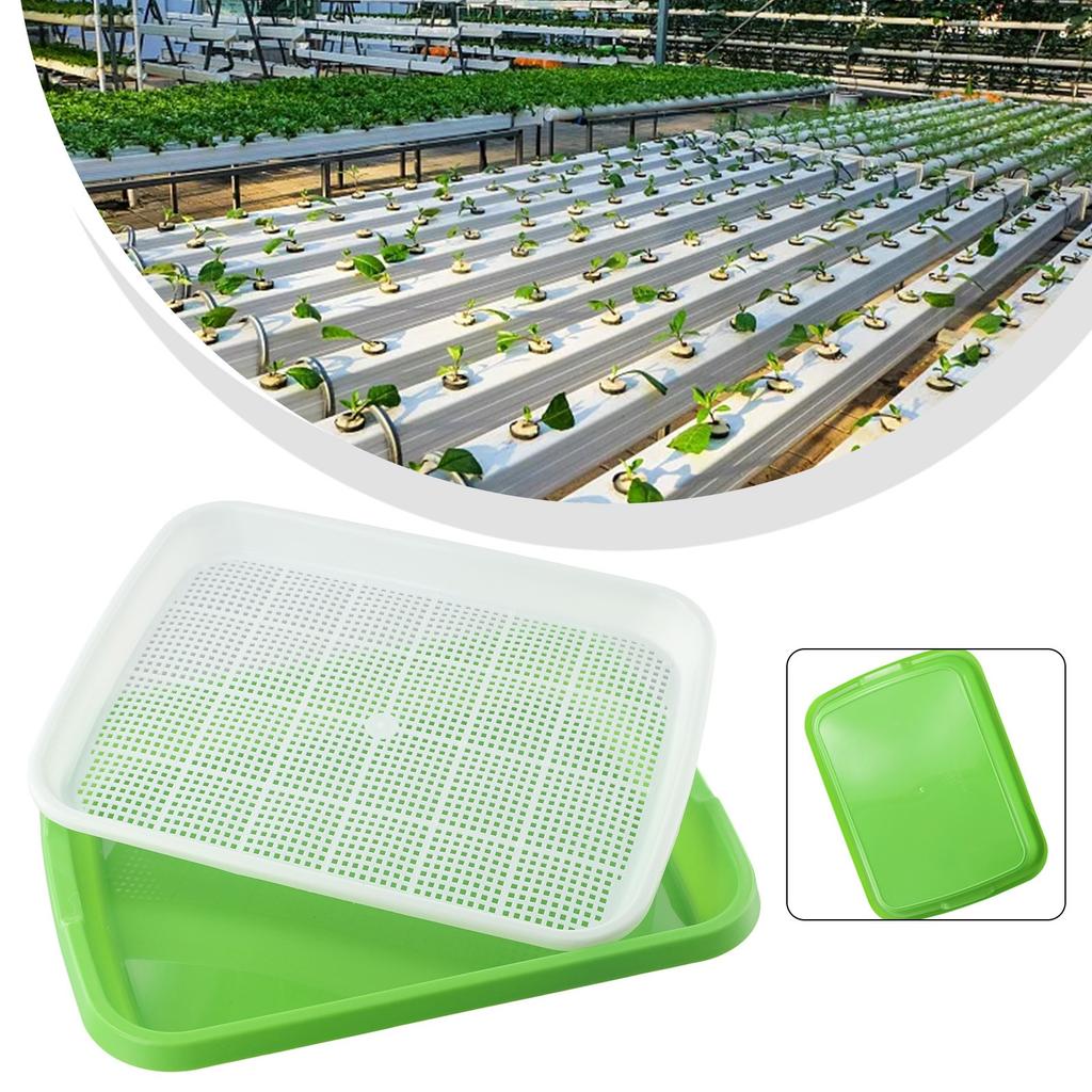 Plastic Sprouting Tray Pots Props Set Tools Accessory Cells