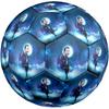 Harry Kane Size 5 Soccer Football Machinestitched Indooroutdoor Universal Football Soccer Accessory Birthdaychristmas Wedding Party Gift