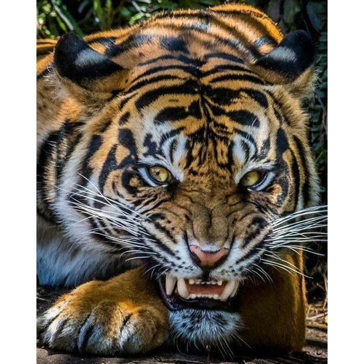 5D DIY Diamond Painting Full Round Drill Cross Stitch Craft Mosaic Diamond Embroidery New Arrival Rhinestone Mosaic Art Home Decoration