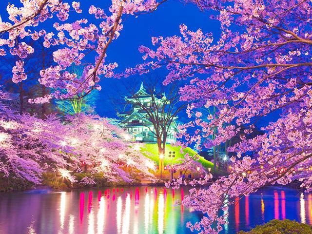 Diy 5d pictură cu diamant complet broderie peisaj pătrat rotund foraj capcană lume delfin mozaic punct de cruce artă manuală hobby