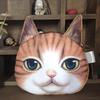 Rolig katt Ansikte Huvudtryck Mini Myntväska Plånbok Plånbok Dragkedja Barn Present