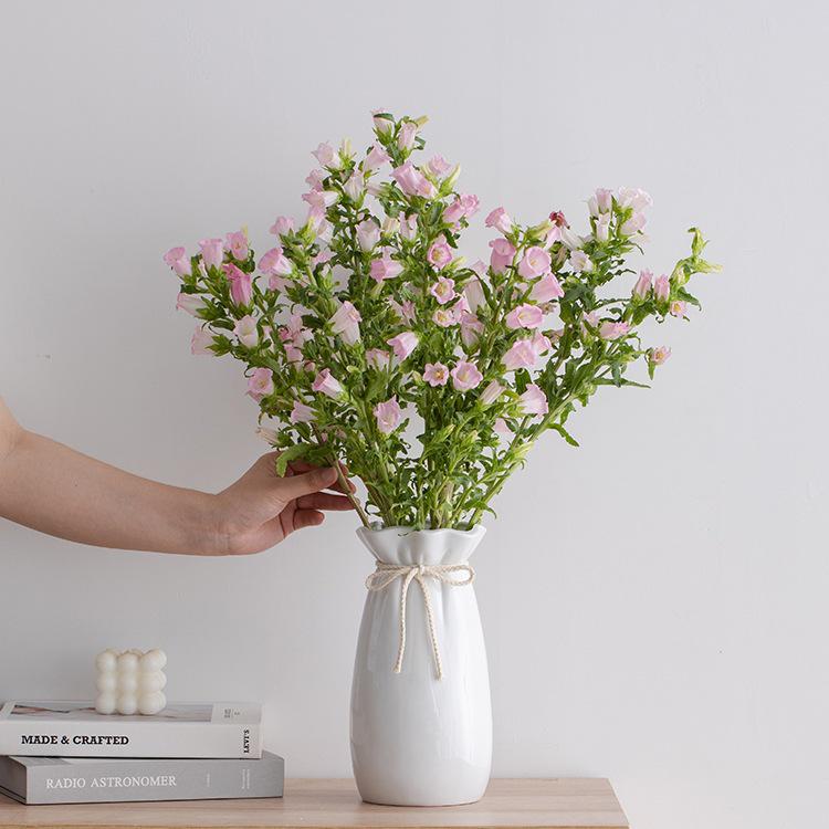 Nordic Minimalist Ceramic Flower Vase for Dried Flowers - Elegant Home Decor and Desktop Ornament.