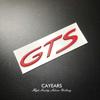 Cayears GTS GT1234 RS ABS Plastics Sticker Badge Decals Racing Emblem Fit After 2012 For Porsche Auto Car Body Rear Trunk Lid