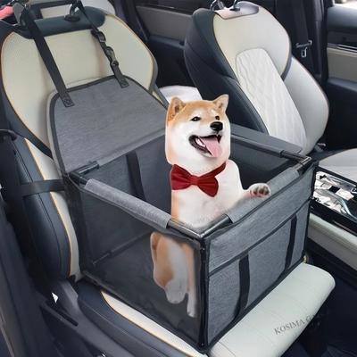 Transportare şi depozitare – Transportarea animalelor