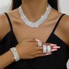 Hochwertiges Übertriebenes Braut-Strass-Halsketten-, Ohrring-, Armband- & Ring-Set für Hochzeitsfotografie