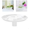 Clear Gift Desk Planter Home Decor Organizer Ornament Floral Arrangement for Holiday Bedroom
