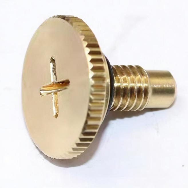 Engine Coolant Hose Exhaust Screw for Land Rover Freelander 2, Evoque, Discovery Sport Other