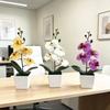 Butterfly Orchid Faux Plant With Plastic Material For Wedding Decor And Home Styling