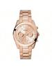 Women's Watch with Golden Case and Steel Bracelet In Boyfriend Style, Model ES3885