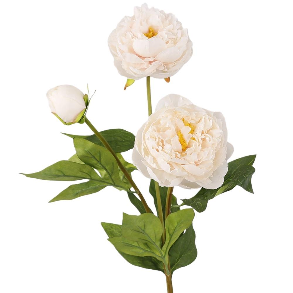 Real Touch Artificial Peony Flower 3 Heads Cotton Rose Fake Flower  Wedding Party