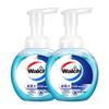 Health Care Foaming Hand Wash (2x225ml)